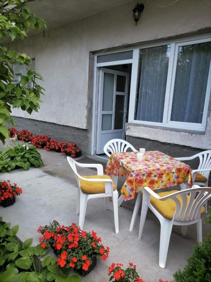 Pavicevic Διαμέρισμα Soko Banja Εξωτερικό φωτογραφία